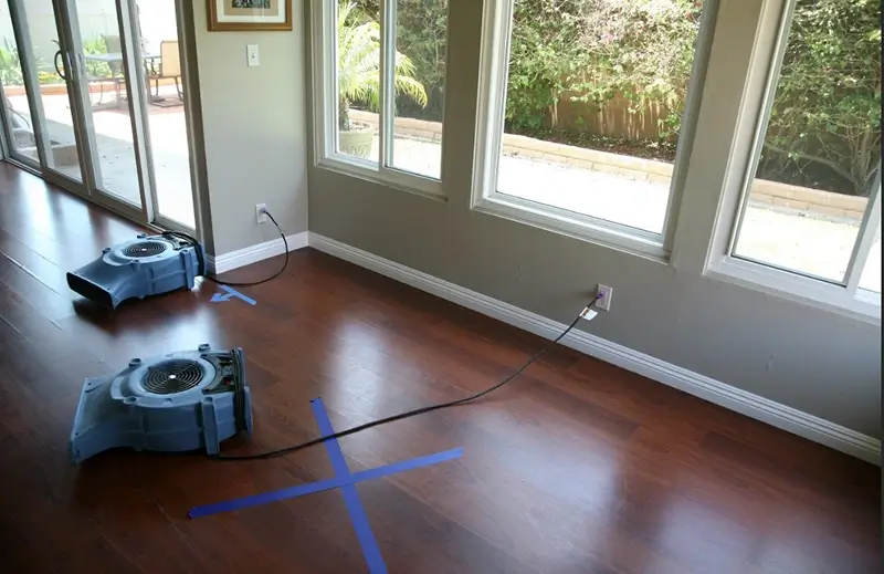 Water Damage Restoration Timeline: How Long Day by Day?